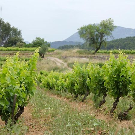 La Maison De Campagne Carces Ngoại thất bức ảnh