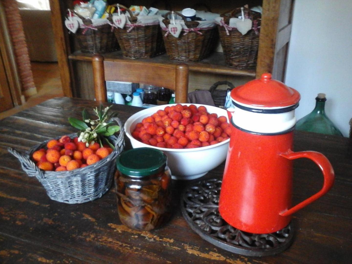La Maison De Campagne Carces Ngoại thất bức ảnh